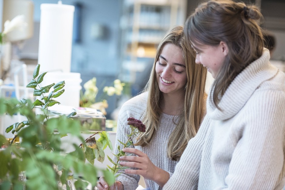 Two people examining a small potted plant together in a bright, leafy workspace.