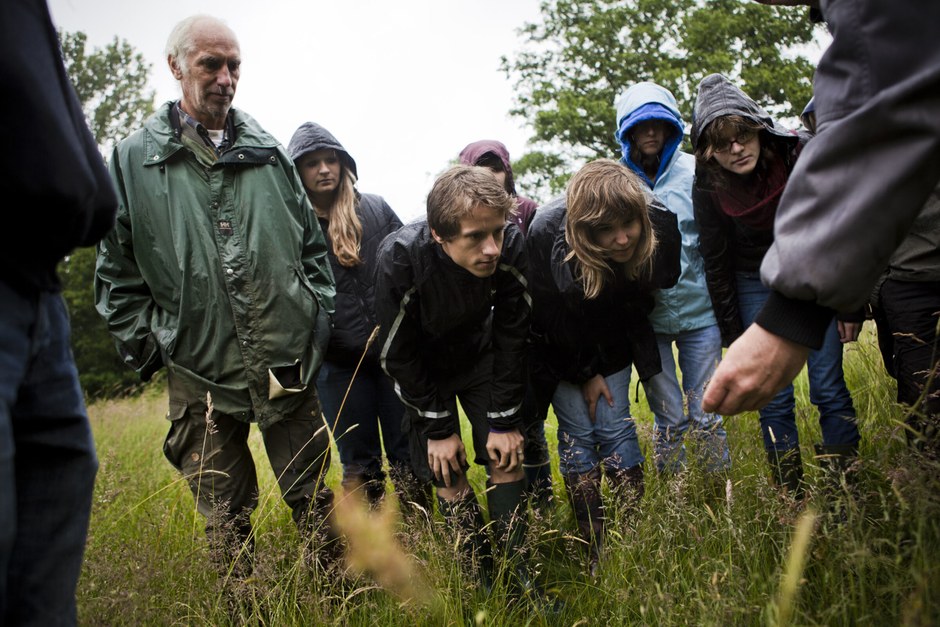 A small group exploring plants outdoors with a guide in a green landscape.